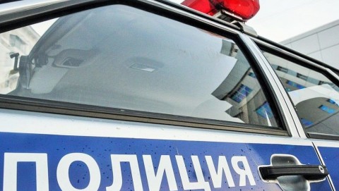 Сотрудники полиции раскрыли кражу из дачного домика в Шипуновском районе